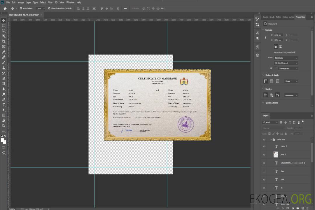 Modèle PSD de certificat de mariage des Pays-Bas template